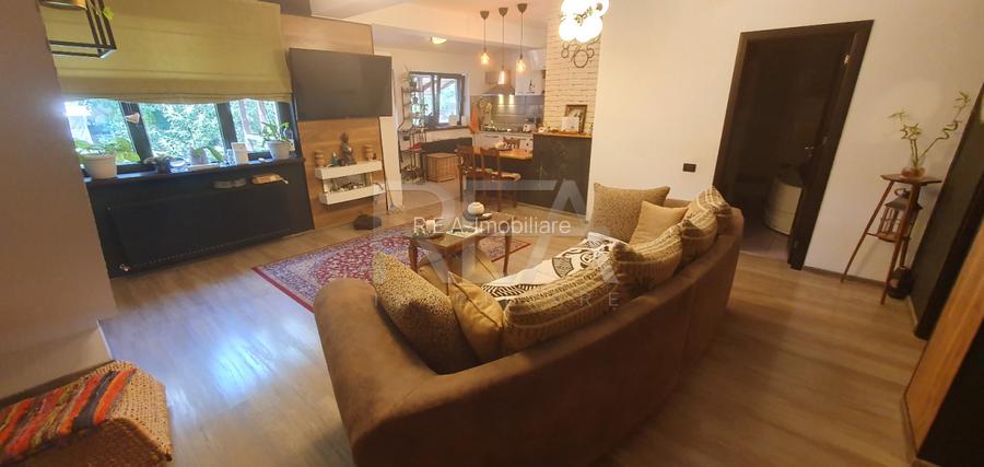 2 case si curte individuala la 400 de metri de statia de metrou Dristor 2  - 4