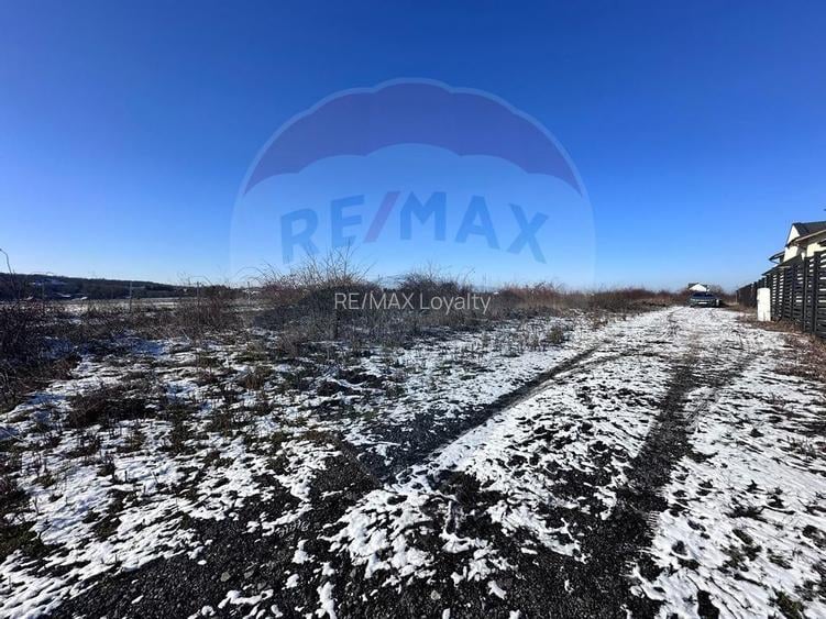 Teren intravilan 500mp, langa lac, acces drum principal - Corbeanca - 3