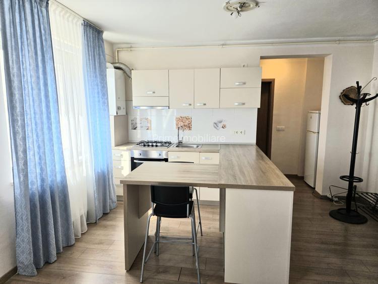 Apartament cu 2 camere de inchiriat in Cetate - 4