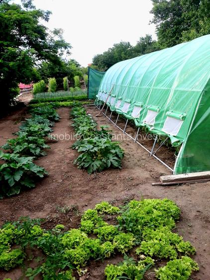 Seimenii Mari Casa 5 camere S.teren:4260 +vie+pomi fructiferi  vedere la Dunare - 18