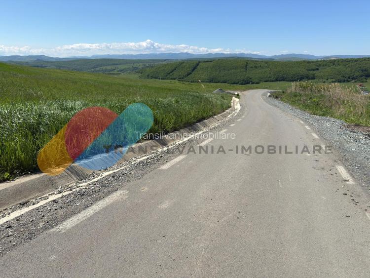 Teren Intravilan de 4.300 mp cu Acces Asfaltat – Popești, Cluj-Napoca - 4