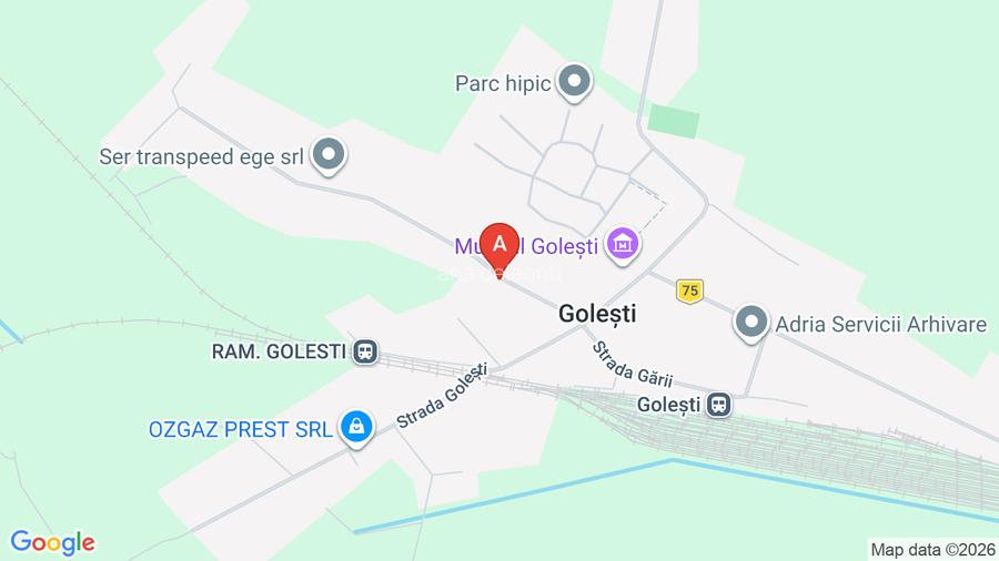 Vanzare vila noua & casa de la 1893 restaurata+ curte de 2.000 mp - 17