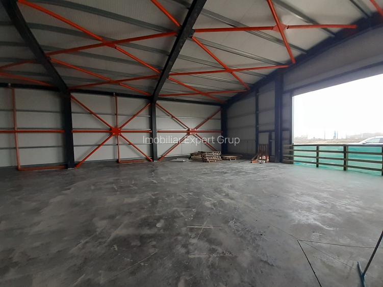 Hala noua in zona Drumul Intre Tarlale - 3