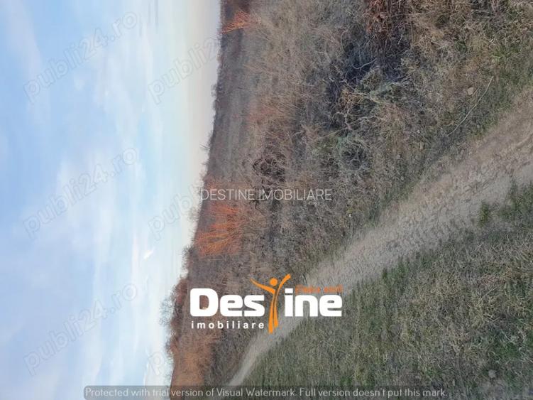 Teren Chicerea, 1250 mp, zona in plina dezvoltare, 25 euro/mp - 3