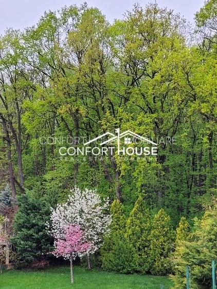 VILA D+P+E+M, 12 camere, piscina , padure, IANCU NICOLAE - 34