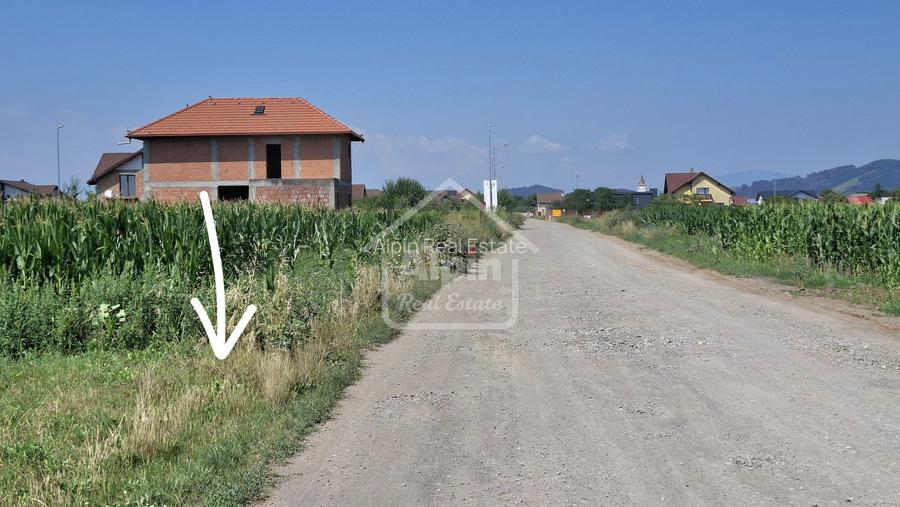 Teren Pretabil Investitie Harman - 5