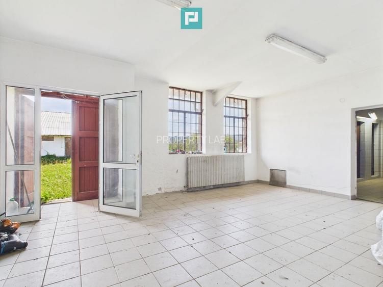 Hale 1800 mp fiecare – acces autostradă, Teiu, HD - 11