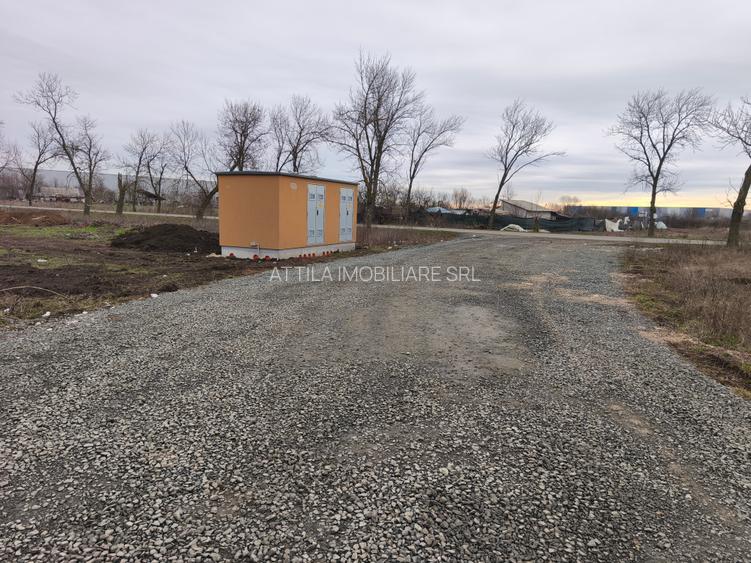 Hala cu Showroom Ghiroda 570 mp - 8