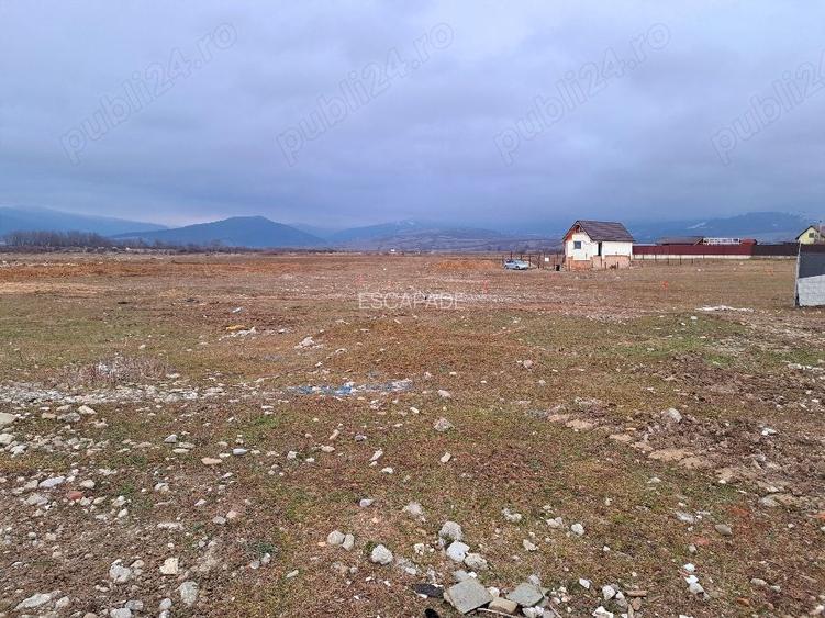 Teren intravilan 1450 mp – Carpiniș , Ideal pentru casă de locuit - 5