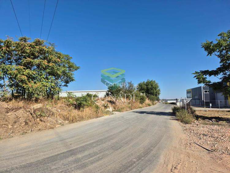 Teren Cernica - Oxigenului -  4.624 mp - 3