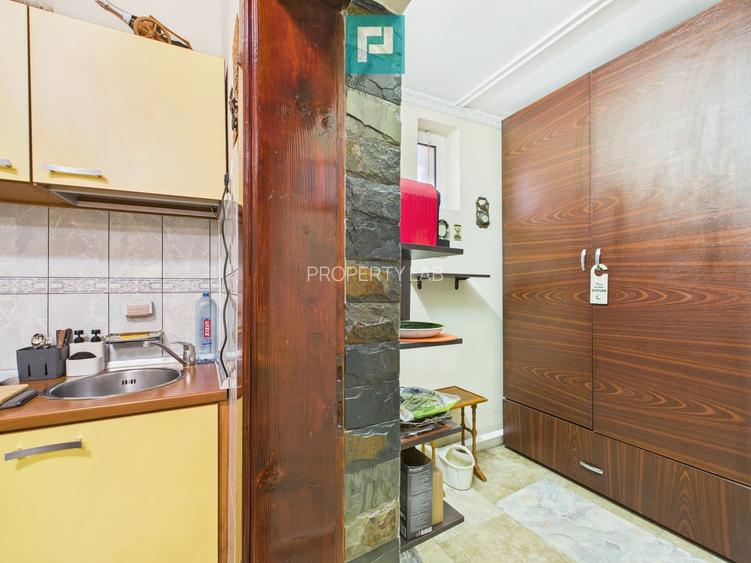 Pensiune la Orțișoara - 39