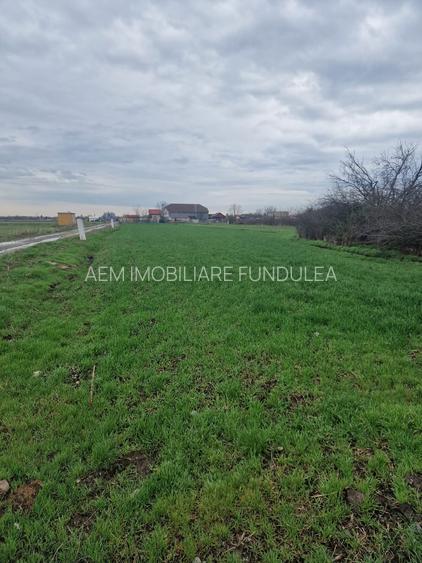 Teren intravilan Fundulea 1000 mp - 7