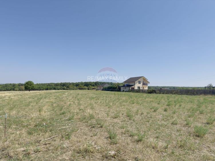 Teren 2,841mp Apateu / Strada Principala langa Biserica Ortodoxa - 17