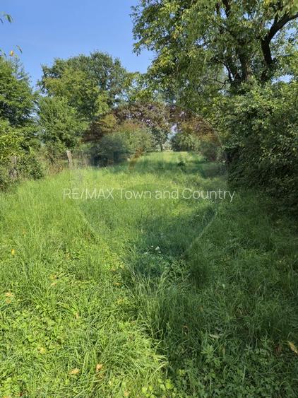 Casa / Vila cu 4 camere de vanzare - 7