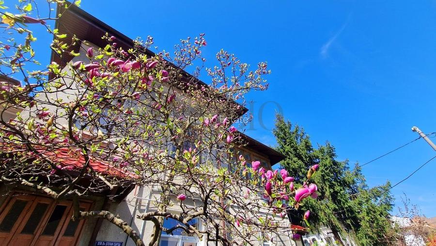 Apartament de 2 camere in cartierul boem Cotroceni - 12