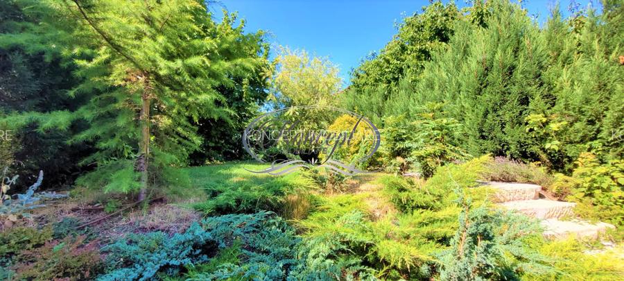 Spatiu de birouri in Andrei Muresanu - 13