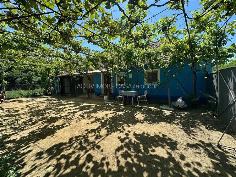 Casa Cocheta, Locuibila imediat,  cu Gradina si Curte,1500mp., Com.Birda. - 25