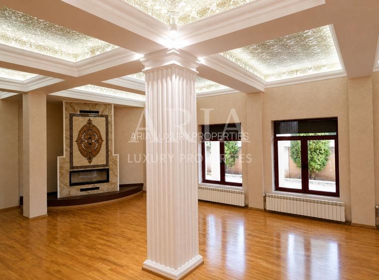 VANZARE VILA | HALA IN VLADICEASCA | SNAGOV | 10.500 MP TEREN - 3