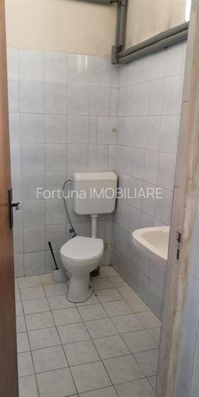 Hala  Brasov Zona Bartolomeu - 4