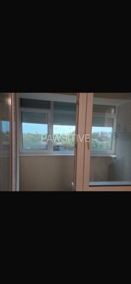 Aparatorii Patriei-Bloc Nou,garsoniera Moderna - 10