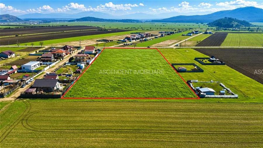 FILM! 700 mp teren intravilan, recomandat constructie casa/ investitie, Cristian - 2