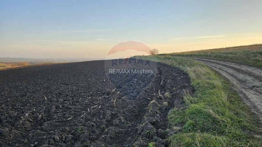 Teren extravilan 30077mp Stroiesti / Soseaua DN17, Suceava - 13