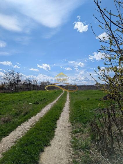 TEREN INTRAVILAN, SERBANESTI - 3