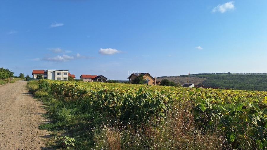 Vand teren intravilan, 5000 mp, Iasi, Rediu, Podisul Beldiman - 9