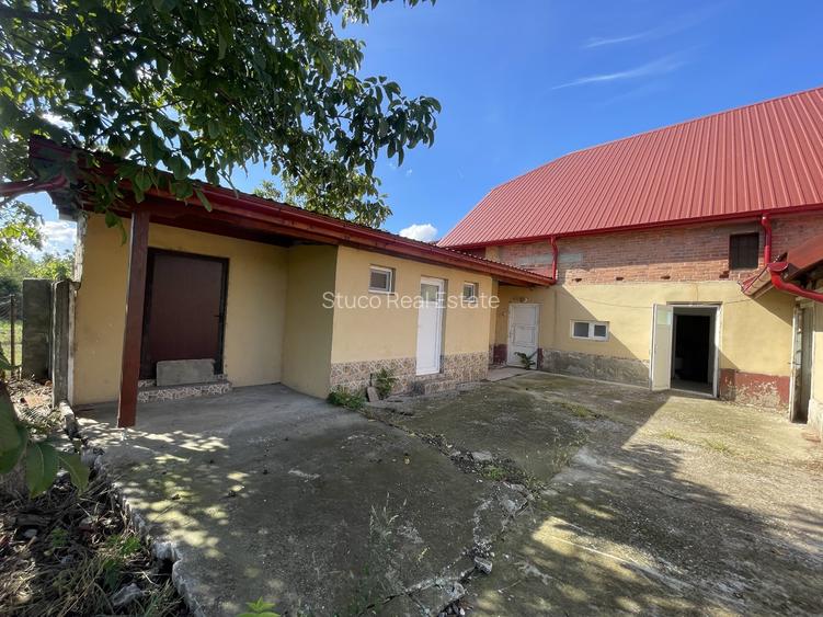 Spatiu comercial de vânzare în centrul satului Dudeștii Noi - 8