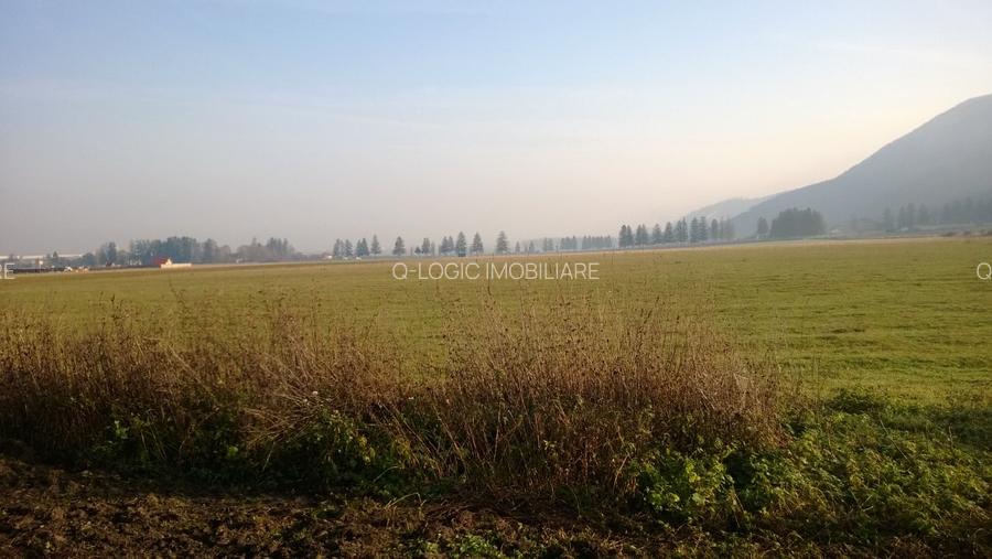 Teren industrial CRISTIAN - in spate la Ina Schaeffler - 2