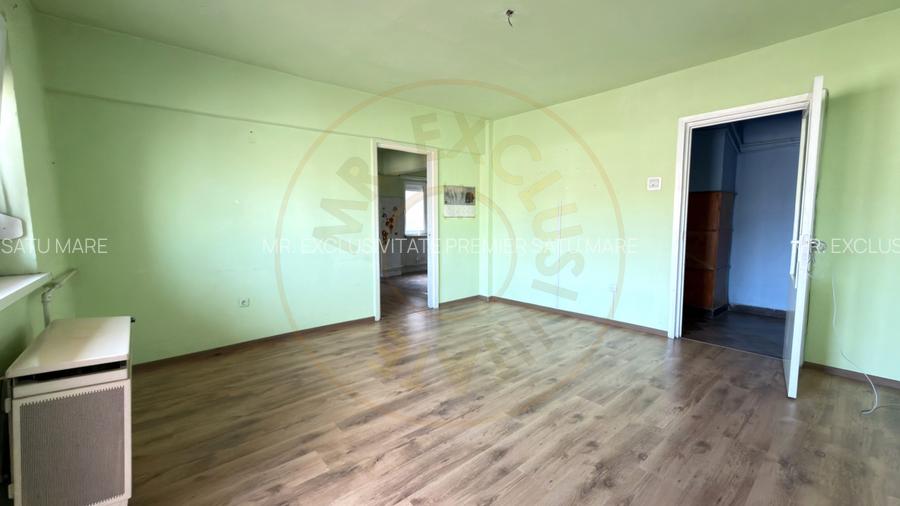 Apartament 4 camere Etaj IV, MV1, Zona Ludy - Str. Regele Ferdinand I - Carei - 15