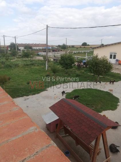 Ferma Zootehnică Mixtă – Cernateaz, Timiș | 9,5 ha | Hale Moderne, Casă 2019, Ut - 10