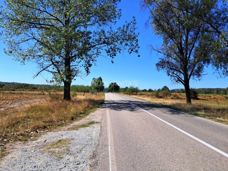 TEREN INTRAVILAN ȘI EXTRAVILAN BAIA DE FIER - 8