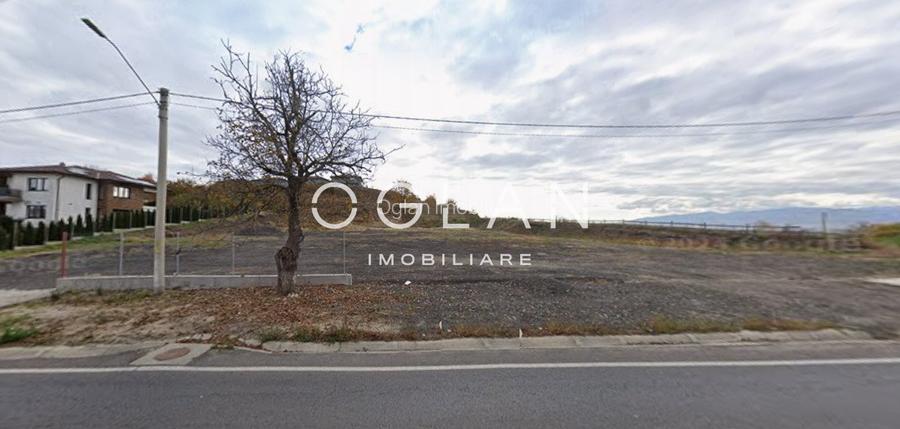 Teren Imprejmuit, la sosea (DN14)- SURA MARE - 9