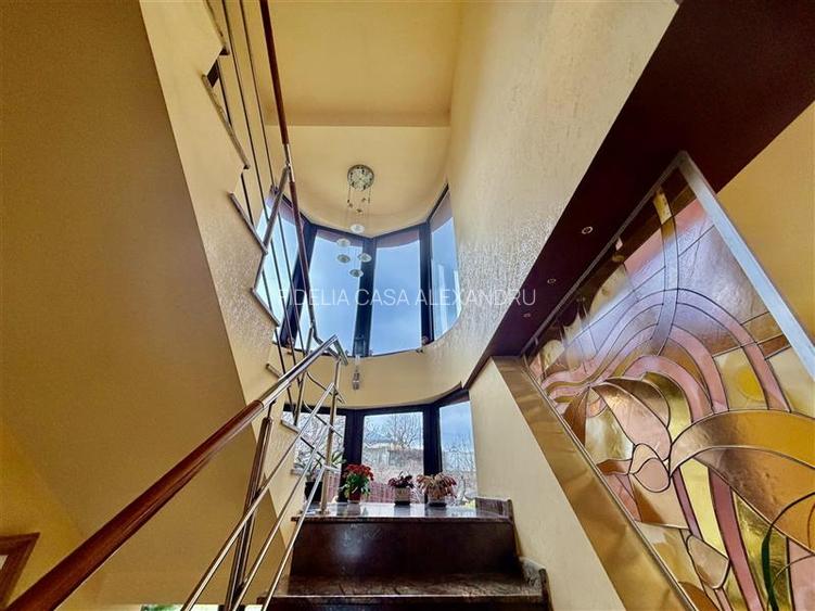 Casa vile de vânzare Buciuim-iasi - 22