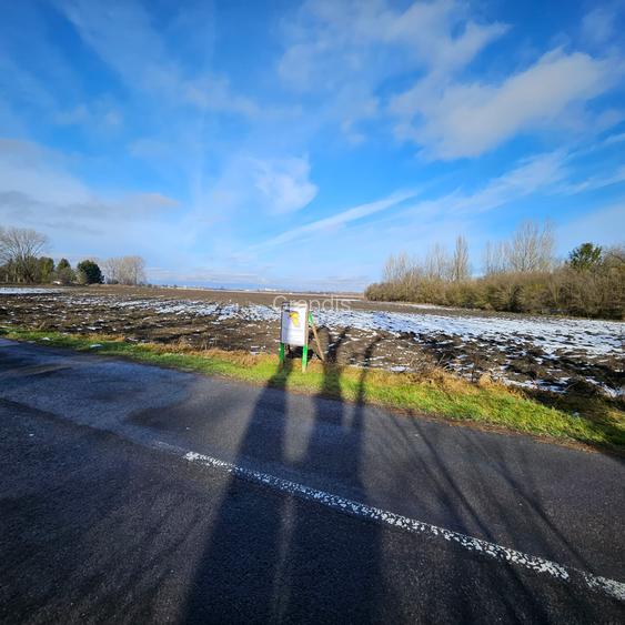 Teren intravilan - Str. Vasile Goldis, ideal pentru ansamblu rezidential - 4