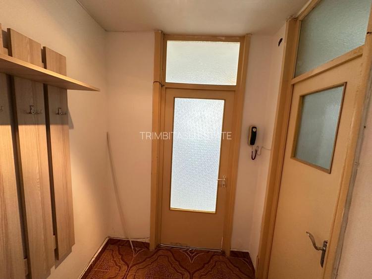 Garsoniera Delfinului 30 mp - 11