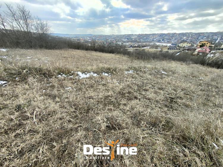 Copou - Viticultori 3 parcele teren intravilan 1417 mp + PUZ - 5