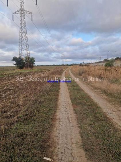 Teren constructie hale - 5