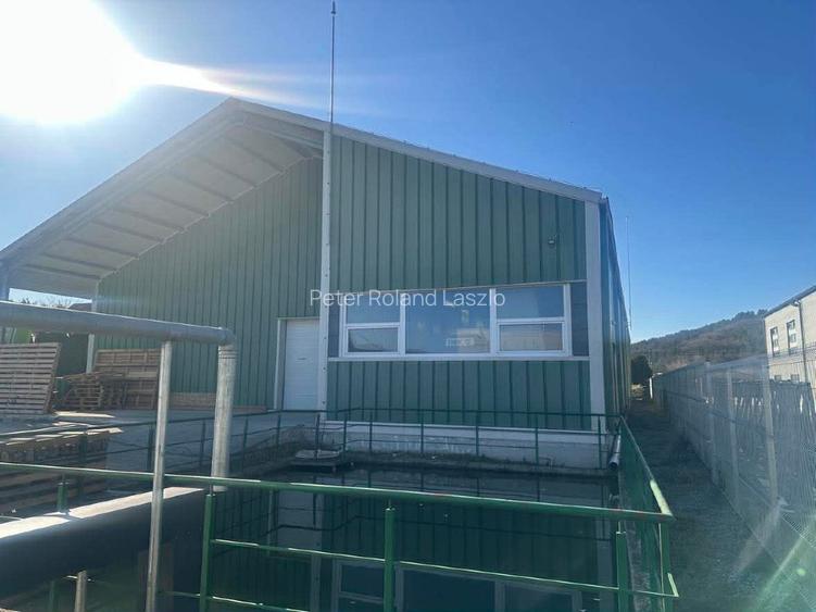 Vanzare hala industriala si spatiu birouri - 6