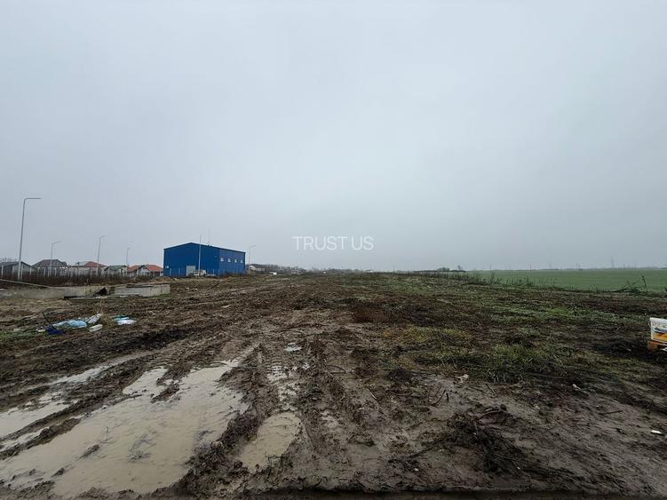 COMISION 0% | Teren Intravilan Covaci | 85 EURO/MP Zona in Dezvoltare - 4