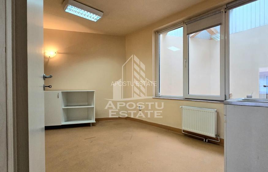 Spatiu comercial SAD, 250 mp, Iosefin - 5