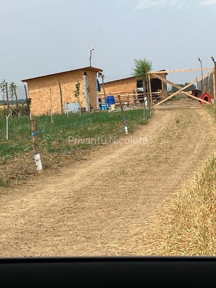 Teren intravilan agricol de vanzare - 3