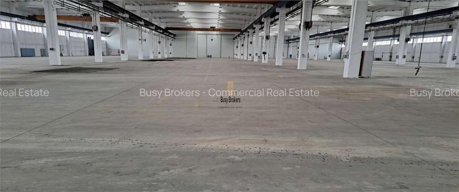 Proprietate Industriala - 19500 mp - Productie - Depozitare - Distributie - 7