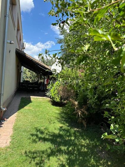 Casa si curte de vanzare  - 2