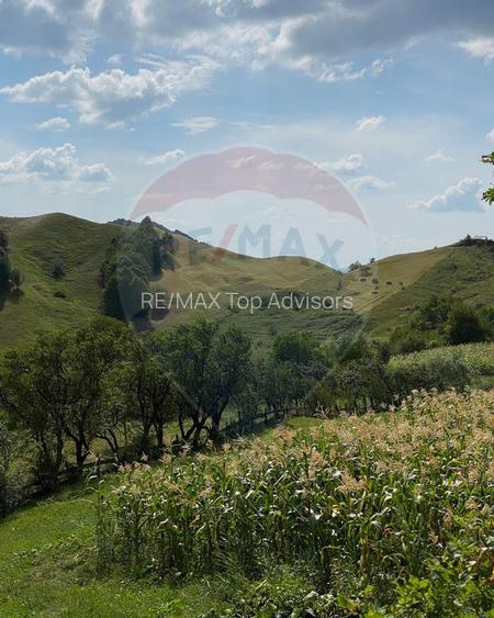 DE VANZARE Pensiune | 12 camere | Bisoca / Buzau - 11