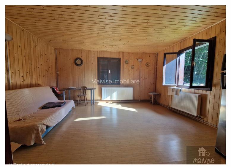 Casa de vacanta!!! Valea Bozom- Apata - 13