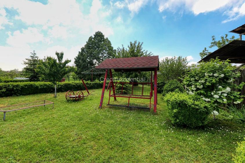 Oportunitate - Casă boierească  de poveste- 7000 mp teren - 58