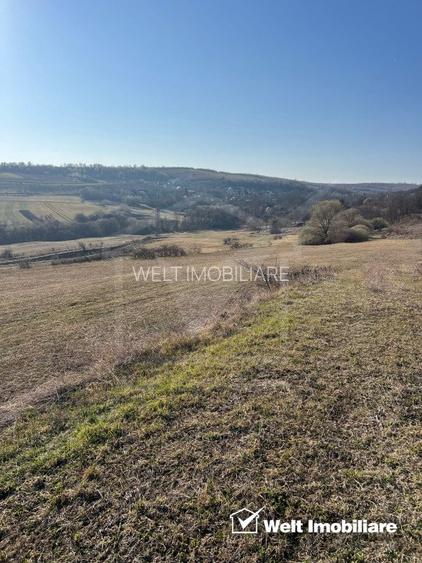 Teren extravilan in Saliste - 2