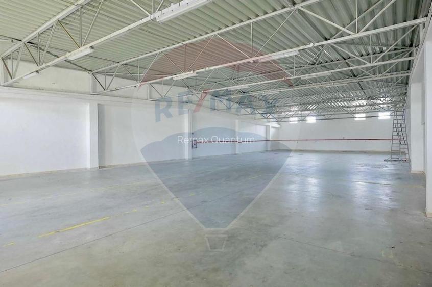De vânzare Spațiu industrial de 10 129 mp, Șoseaua Borșului - 8